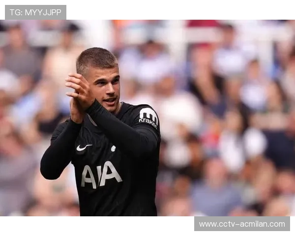 武什科维奇头球扳平瞬间，汉堡主场陷入狂欢